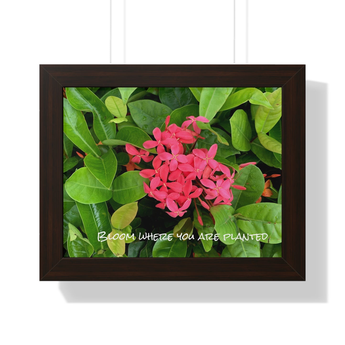 Bloom where you are planted Framed Horizontal Poster